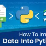 python import